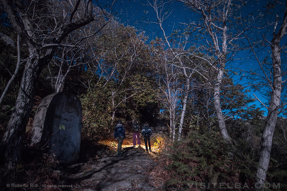 🌍 Forget fireworks, this is how we light up the night sky

🇮🇹 Lascia perdere i fuochi d'artificio, è così che si illumina il cielo notturno

#VisitElba #Elba #Toscana #Tuscany #visitelbaisland #toskana