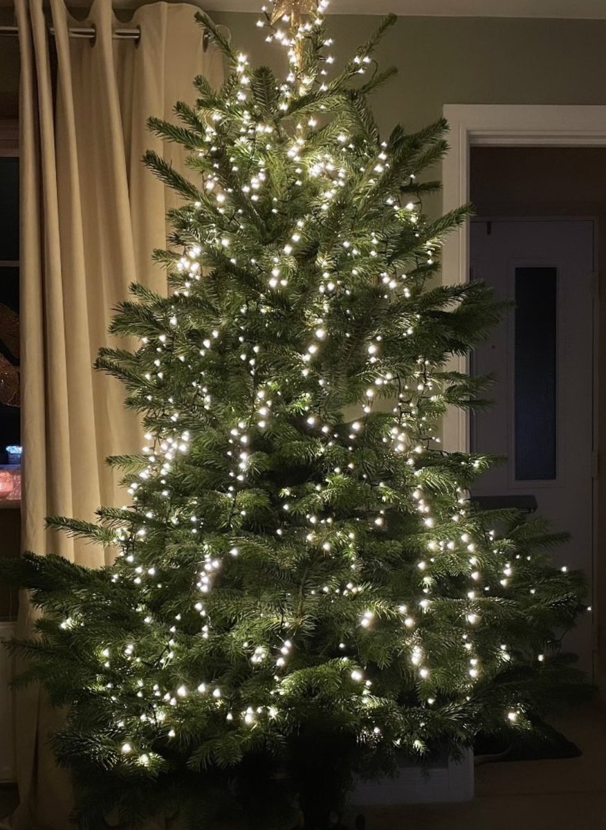 Ya Gal Al On Twitter Ok So I Ve Seen Multiple People Hang Their Christmas Tree Lights Up And Down Instead Of Round And Round It S So Messy I Hate It Https T Co Nnhbewhzt4