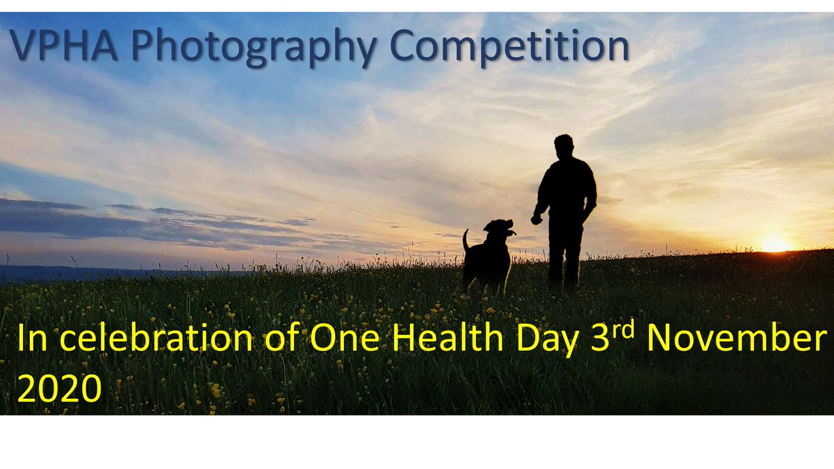 Eight days left to enter the One Health Photography Competition! Don't miss out on your chance to bring your contribution to the bigger picture vpha.co.uk/documents/2020…
#veterinarypublichealth #OneHealth #onehealthonewelfare #sustainablevet #celebratethroughphotography #vetphotos