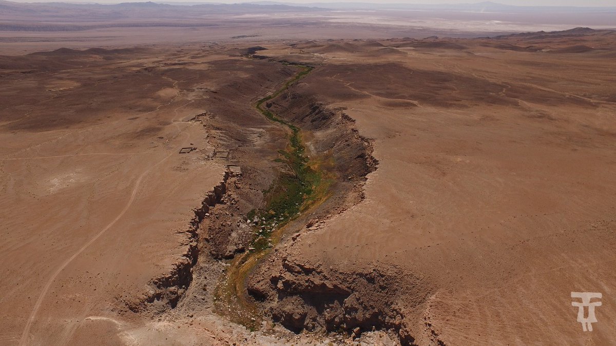 F_Atacama's tweet photo. ¡Lugares sagrados de pastores andinos hace 5000 años en el #SalarDeAtacama! 

Desde tiempos milenarios para las comunidades andinas las nacientes de las aguas en la Cordillera de los Andes han sido lugares sagrados. Esto lo podemos reconocer en la #vertiente de #Tulán (+ en hilo) https://t.co/2VV5E2u92A