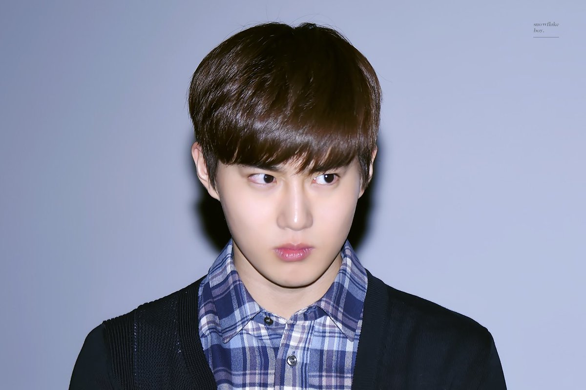 Bunny memes that I found online and my bunny babie A bunny thread 