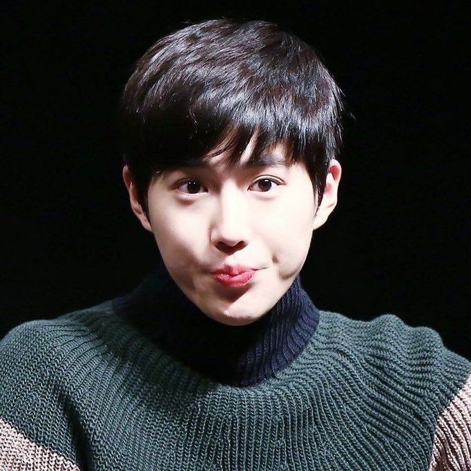 Bunny memes that I found online and my bunny babie A bunny thread 