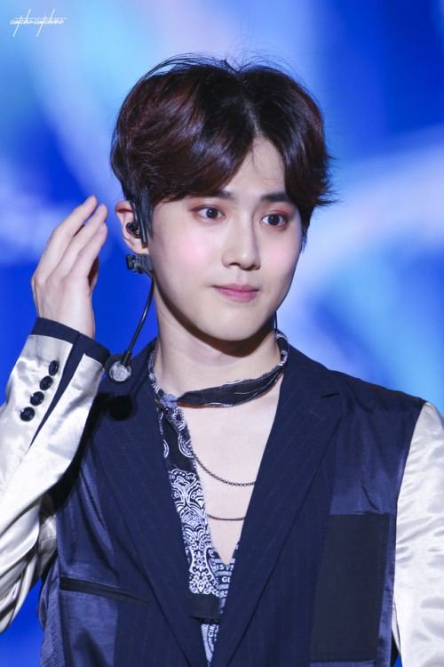 Bunny memes that I found online and my bunny babie A bunny thread 