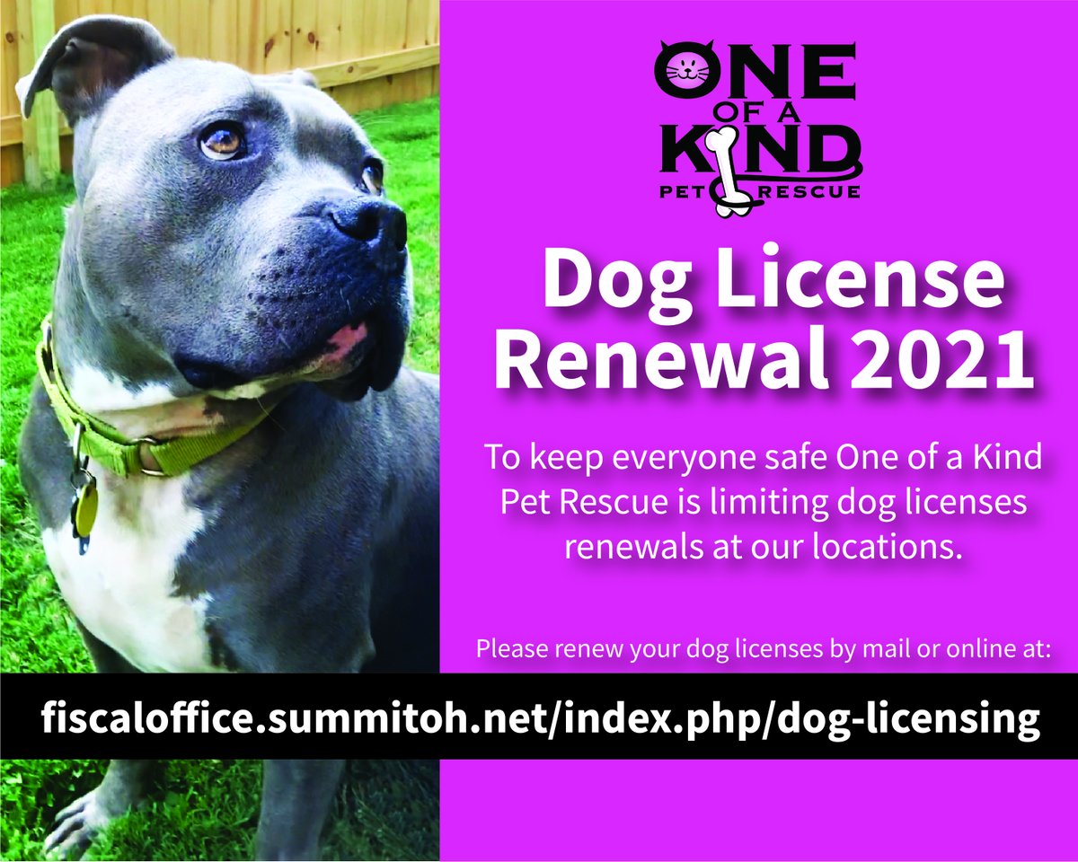 OneofAKindPetRescue (@ooakpr) on Twitter photo 