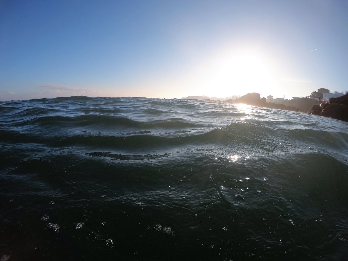Curragh Sub Aqua tweet media