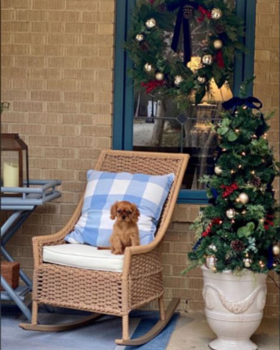 "This little guy is a big help with Christmas decorations. ❤️ We are so grateful for this sweet boy. He is amazing!"
Cavaliers of Castlemar - (817) 517-3304
cavaliersofcastlemar.com
.
.
#cavaliersofcastlemar #cavalierkingcharlesspaniels #companiondogs #puppies #showdogs