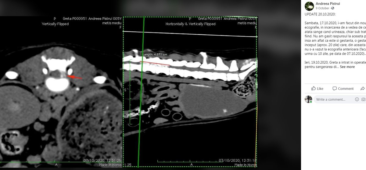 Xray pictures stolen from the same Romanian Rescuer.