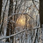 Photo by Дмитрий Азаров (@D_Azaroff)