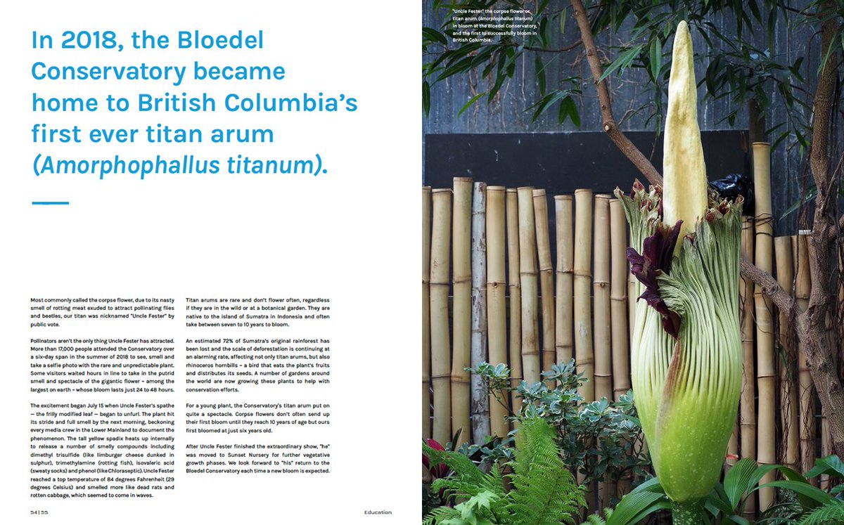 Curious about the last 50 years at the Bloedel Conservatory? Celebrate its Anniversary (today Dec. 6) with a copy of 'The Jewel Atop Vancouver'. History, birds, plants ... and more. A great keepsake and gift! tinyurl.com/y45fe585 <a href="/MedicineMatters/">Pamela Fayerman</a> <a href="/rodmickleburgh/">Rod Mickleburgh</a> <a href="/JohnCCoupar/">John Coupar</a>