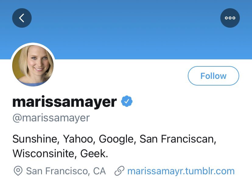 MARISSA MAYERAnother one of SV’a “brightest.” Former Yahoo CEO. One of Google’s earliest employees. Supposed to have helped break the glass ceiling. It’s all scripted.