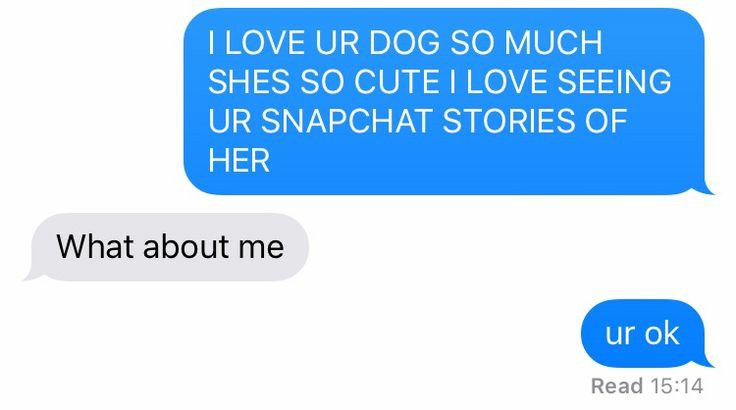 hannibal gets a dog to impress will. doesn't go as planned, will is now overly focused on the dog and hannibal is jealous