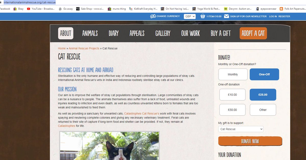 2. PRYA's website. The header photo on their home page and the full text, have been lifted straight from that of a legitimate rescue.