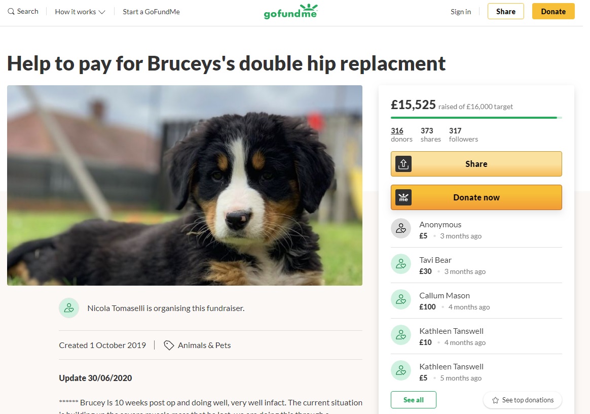 They have a page for fundraisers. Including this one. As you can see the photos and text have been stolen from a genuine GFM by the dog's owner (the owner has been notified)