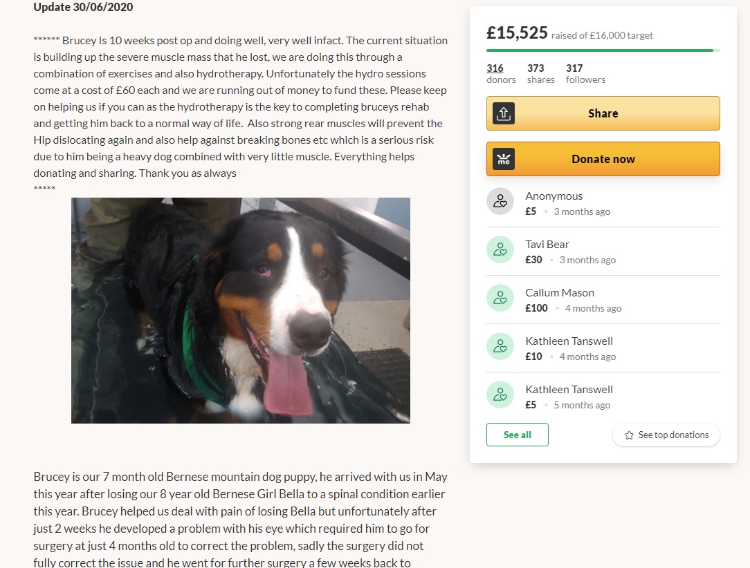 They have a page for fundraisers. Including this one. As you can see the photos and text have been stolen from a genuine GFM by the dog's owner (the owner has been notified)