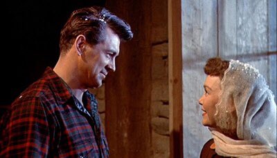 All That Heaven Allows (1955) // Far From Heaven (2002)