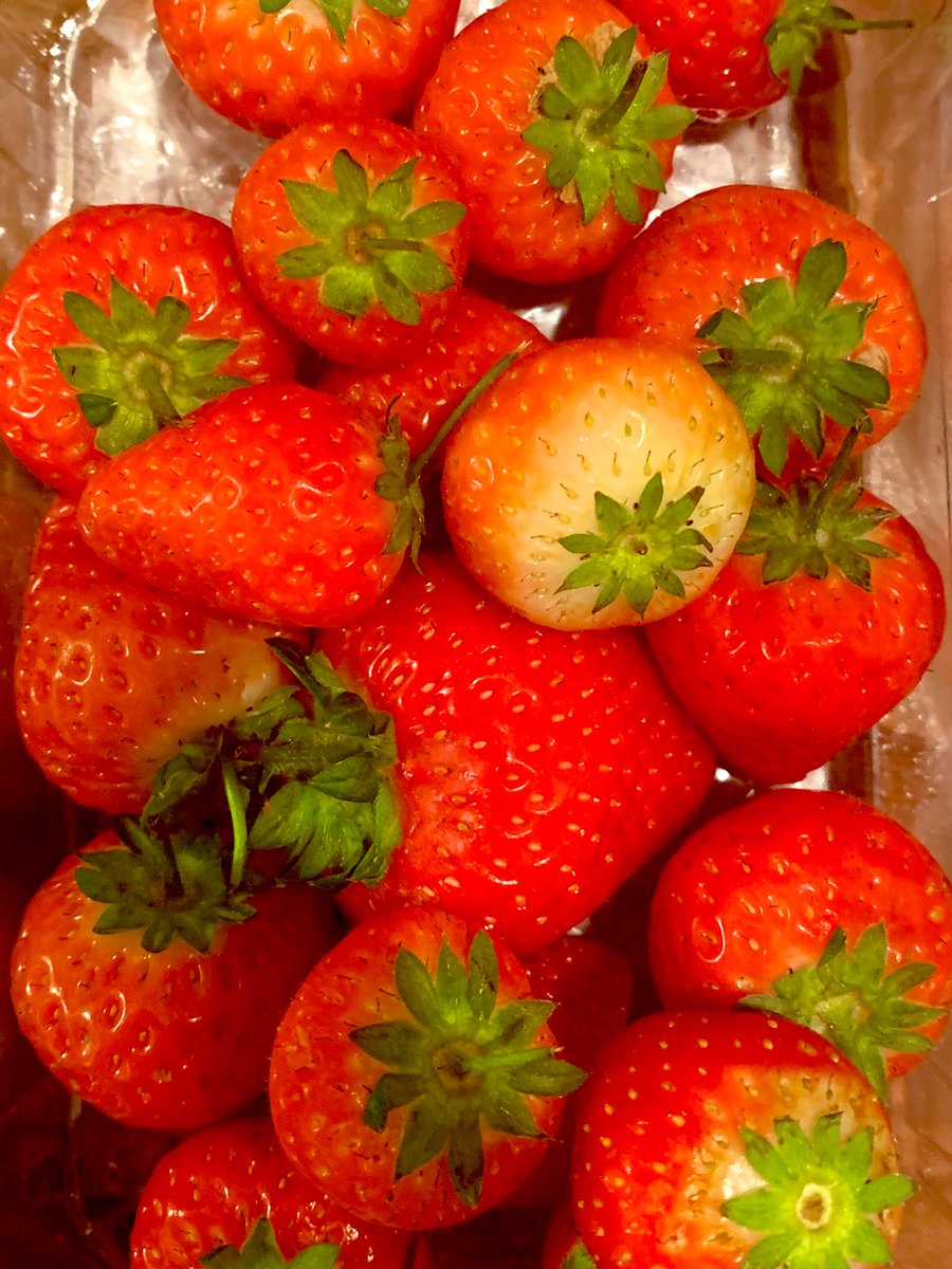 AuldStock's tweet photo. Dessert!, unseasonal I know but sweet nonetheless! #Mayogaa https://t.co/Wai2k98KrM