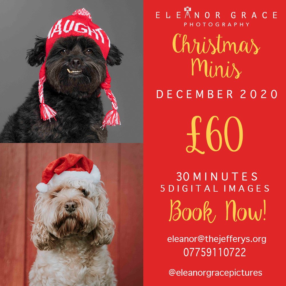 I’m offering Christmas Mini Photoshoots for just £60 this festive season! These shoots can either be in the studio or out on location (mileage charge may apply). The price includes 1 dog however you may add an additional dog for the charge of £10. Gift vouchers also available 🎁