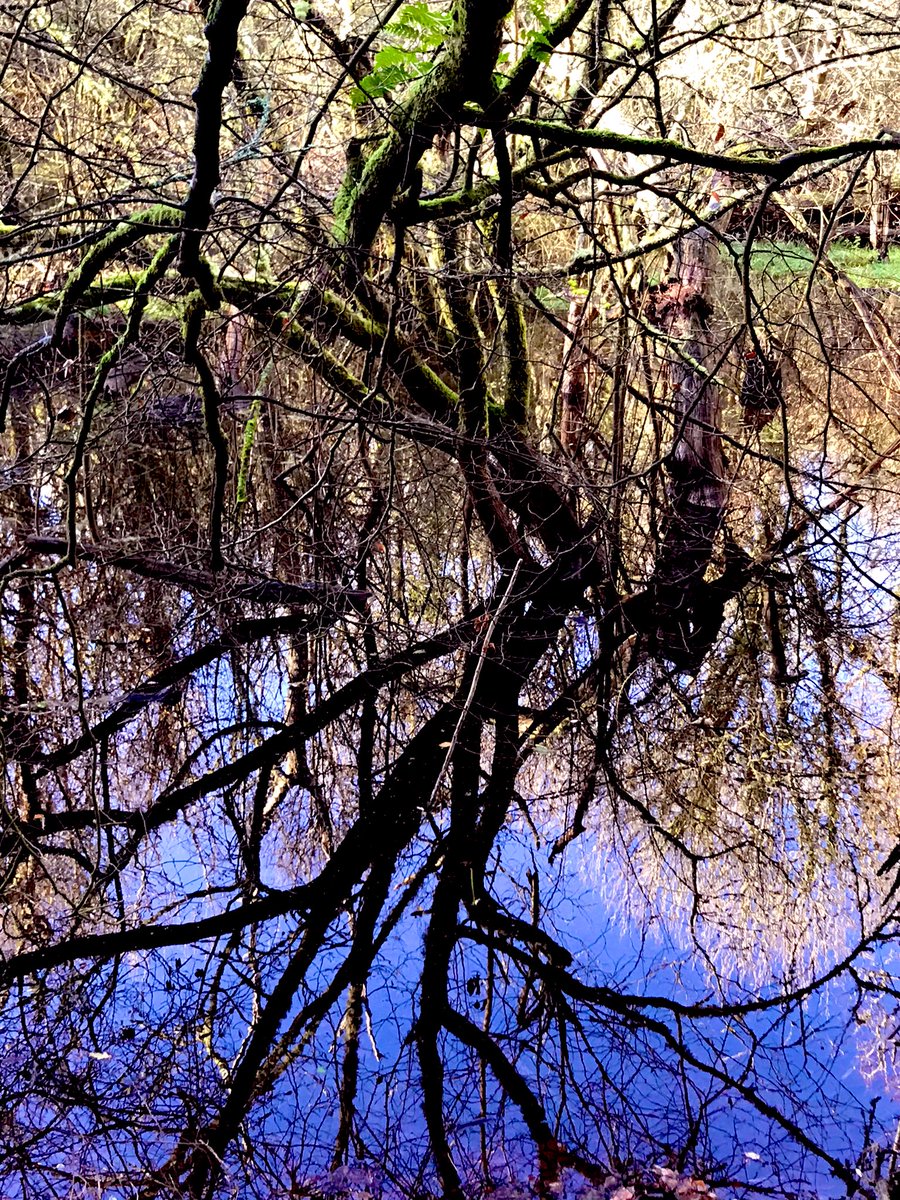 RogerReadwinUK's tweet photo. Always good to take sometime for reflection #StunningDevon https://t.co/HVY7tMGBEt