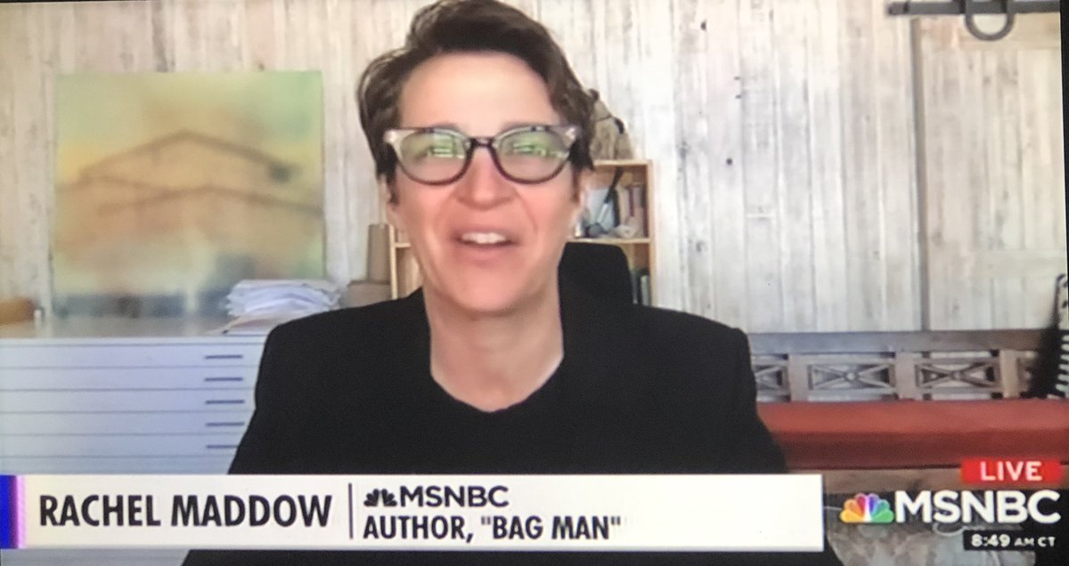 ratemyskyperoom's tweet image. Room Rater Book Club. @maddow’s new book, Bag Man, is out and available now. Plus new art. Stuffed possible Airedale. 10/10