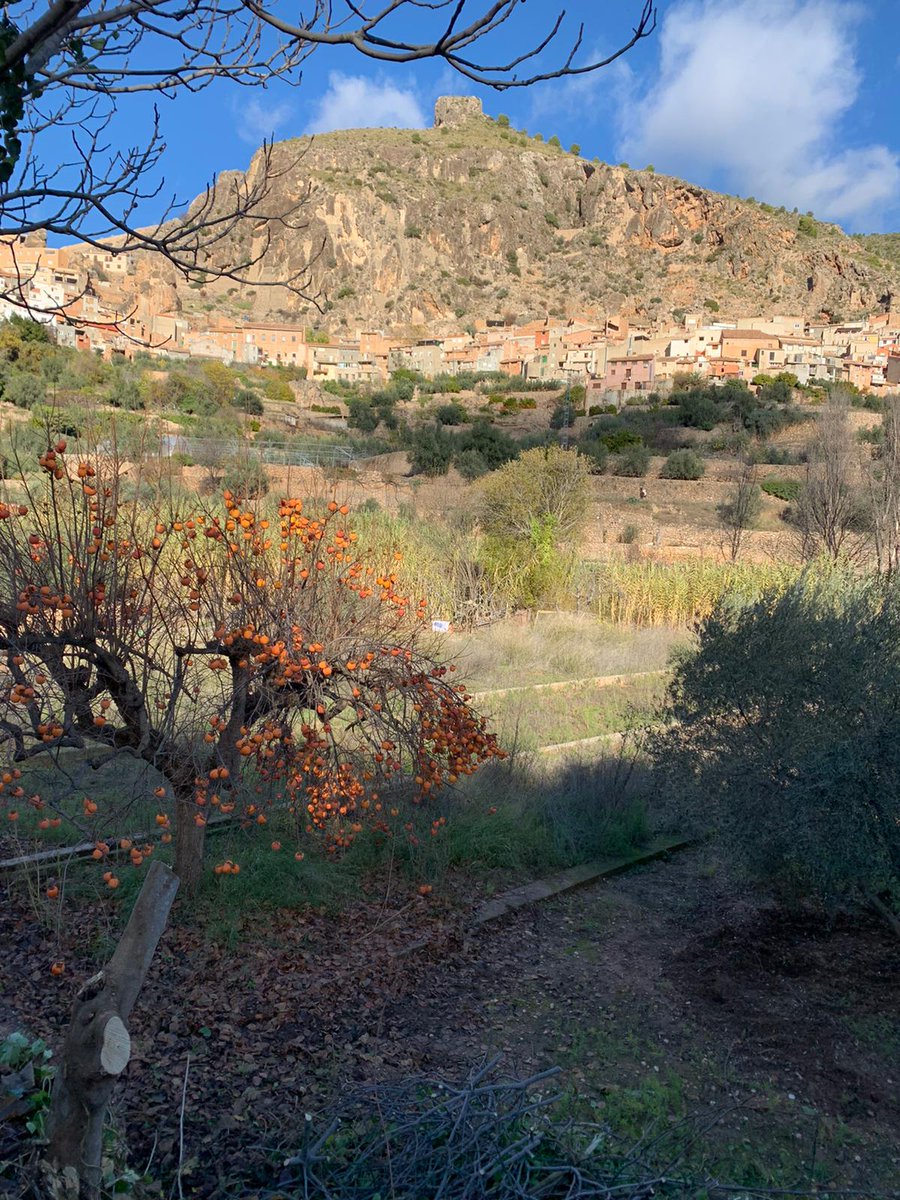 Miralmundo's tweet photo. Ya está disponible en Wikiloc  la red de senderos de #Aýna con 8 rutas por los mejores paisajes de la #SuuzaManchega. Ayer recorrimos con niños la ruta AY-01 la circular de los Picarzos con tan solo 5 km y unos vistas espectaculares. Te vienés?
Rutas: https://t.co/SIQLXzlUiq https://t.co/UhrJxeXJDQ