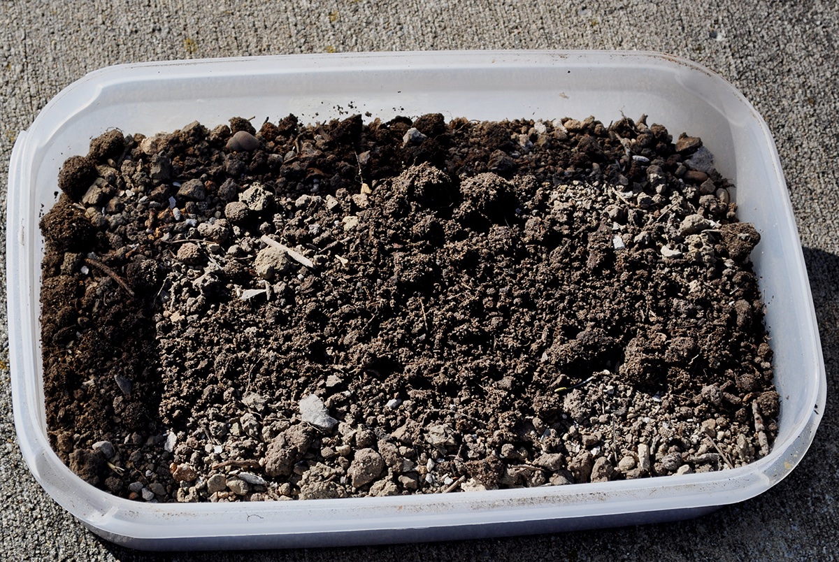 Three years ago, I went to the ceremony marking the 110th anniversary. It was a pretty small affair, but a good number of those in attendance had come from Italy. They brought soil from these miners’ villages and sprinkled it over the cemetery.