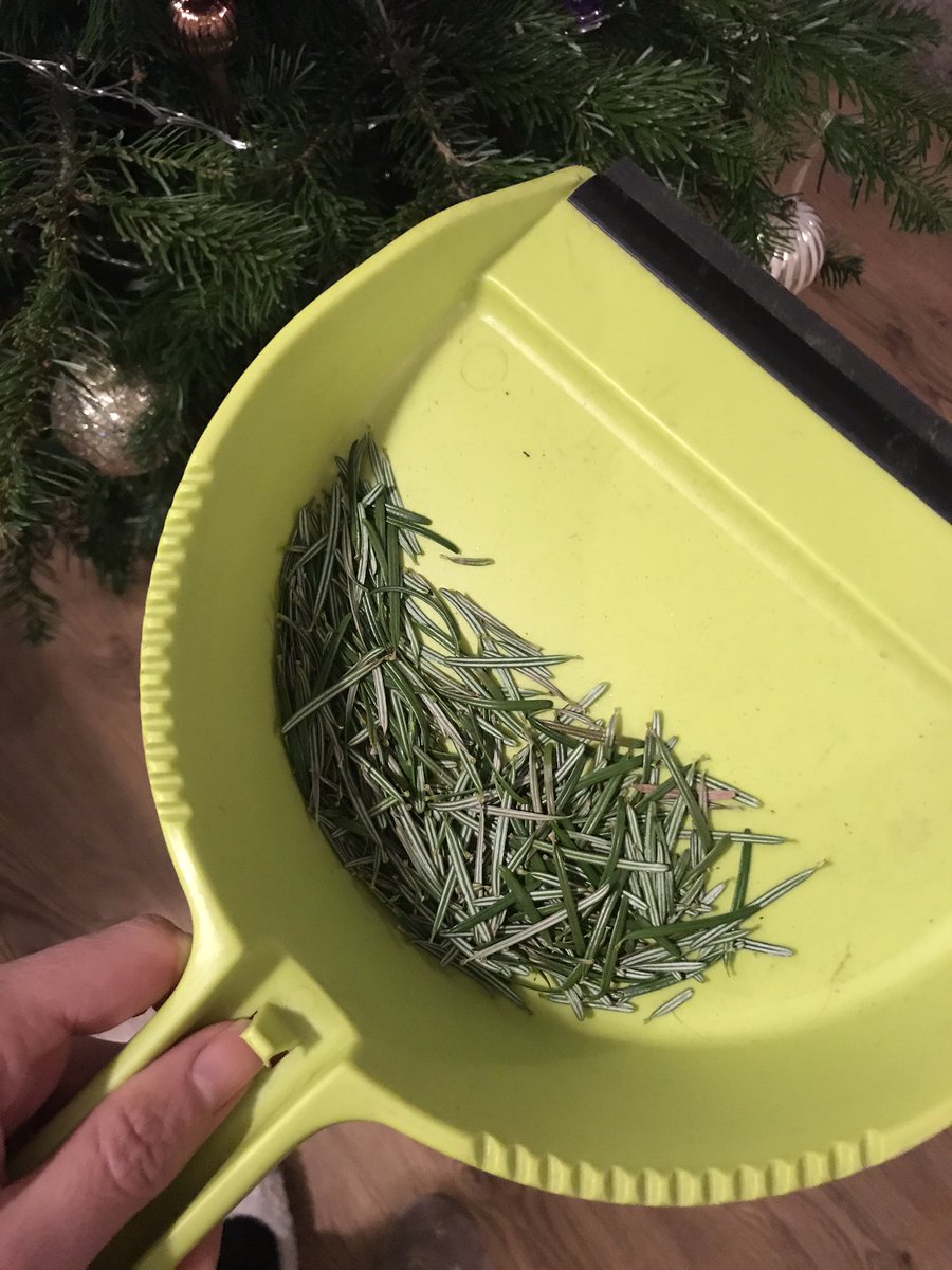 Hei_de's tweet photo. @Homebase_uk please help, having bought a Nordman Fir on 28/11 from your Banbury Store, it’s apparent the tree is faulty and is losing its needles to the point some branches are bold?! The tree is sold as a non needle drop and only a week old. It won’t last to Xmas at this rate! https://t.co/9m5X3g0TwX