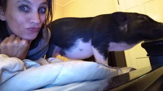 First she snuggled into my butt then she came I thought I was getting a kiss then she turnd and stuck<a href="/tag/diamond"class="tags"><span>#diamond</span></a>