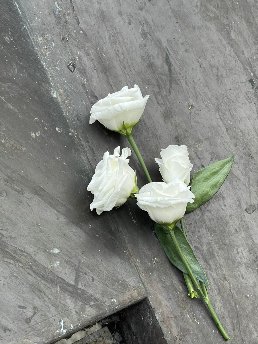 RaphaelleRL's tweet photo. Cette année nous n’avons pas pu nous rassembler et chanter ensemble l’hymne des femmes en mémoire des victimes du #féminicide de Polytechnique. Mais la place du Québec, qui nous accueille habituellement, aura été fleurie tout de même. Nous ne sommes jamais seules. #6decembre1989 https://t.co/u15nb8Nn29