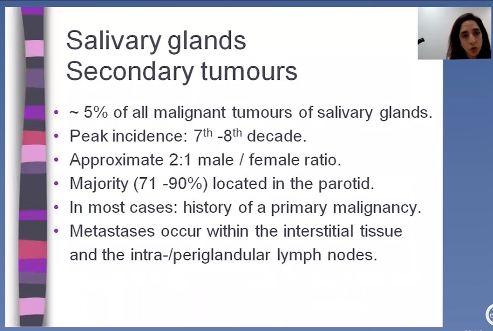 A_Morini_MD's tweet photo. A great case presentation of a so tricky "pink salivary gland tumor" by @LiveLovePath with @CecileBadoualMD. I've already had the chance to see the tumor slides for real!
#virtualpathology2020 #ENTPath
@esp_congress @ESP_Pathology @BritishDivIAP 
And #PrayForLebanon 🇱🇧 🙏❤️ https://t.co/mOwKRs2zG6