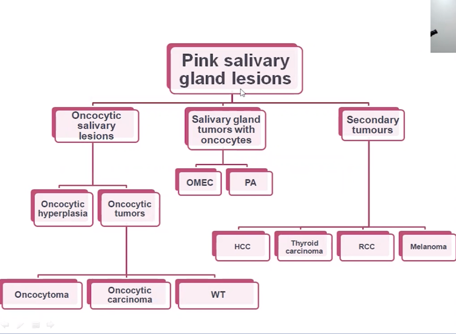 A_Morini_MD's tweet photo. A great case presentation of a so tricky "pink salivary gland tumor" by @LiveLovePath with @CecileBadoualMD. I've already had the chance to see the tumor slides for real!
#virtualpathology2020 #ENTPath
@esp_congress @ESP_Pathology @BritishDivIAP 
And #PrayForLebanon 🇱🇧 🙏❤️ https://t.co/mOwKRs2zG6