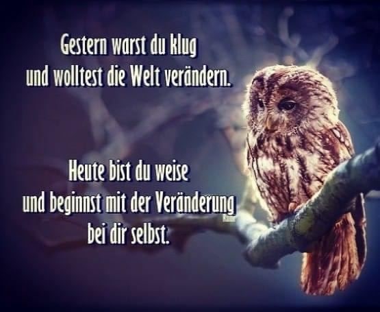 katrin_pollack tweet picture