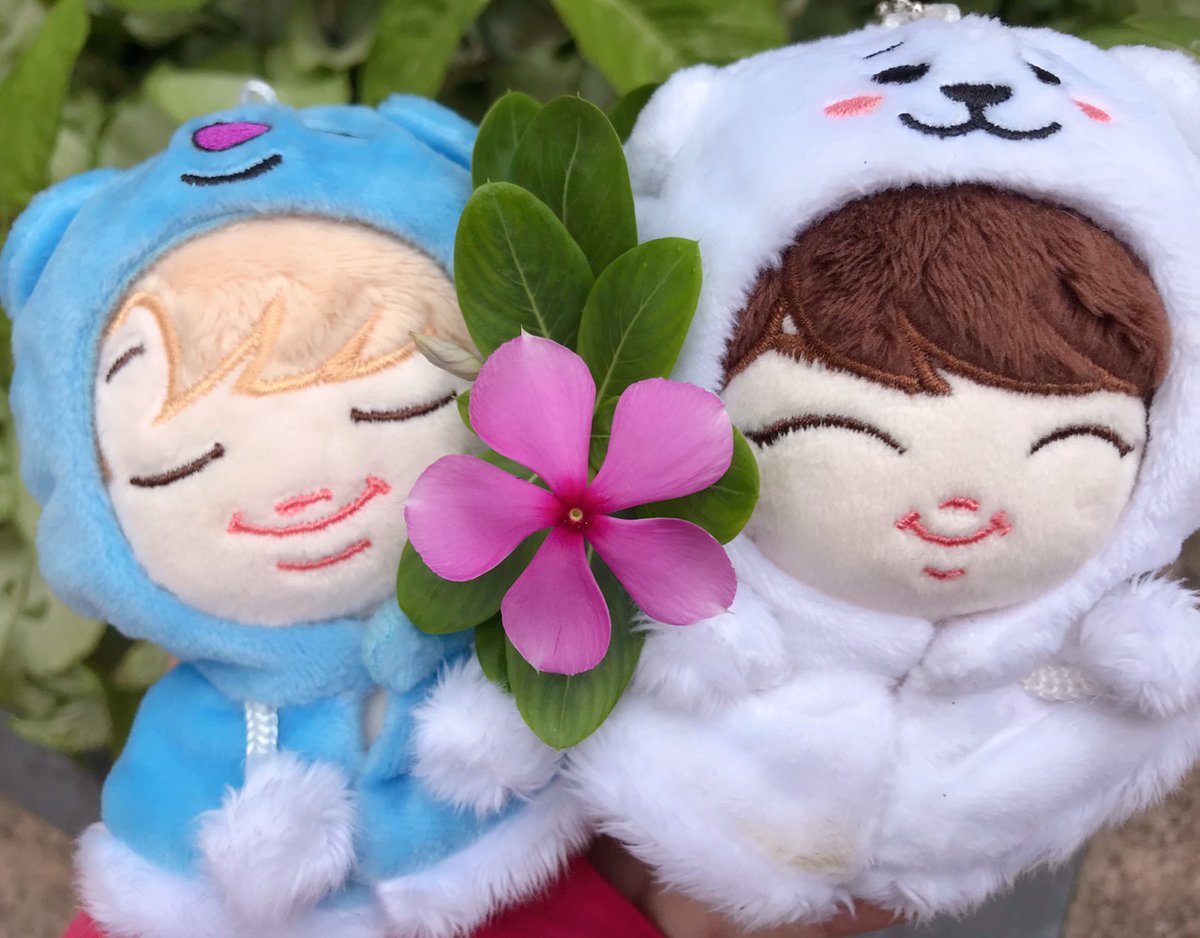 Tiny Doll tweet media