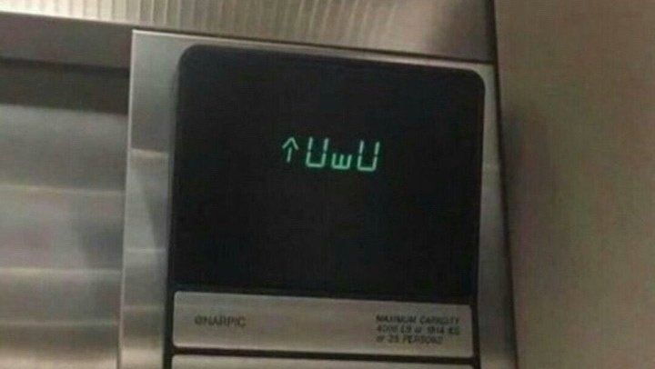 pjmsmiley's tweet image. I HAVE NO WORDS