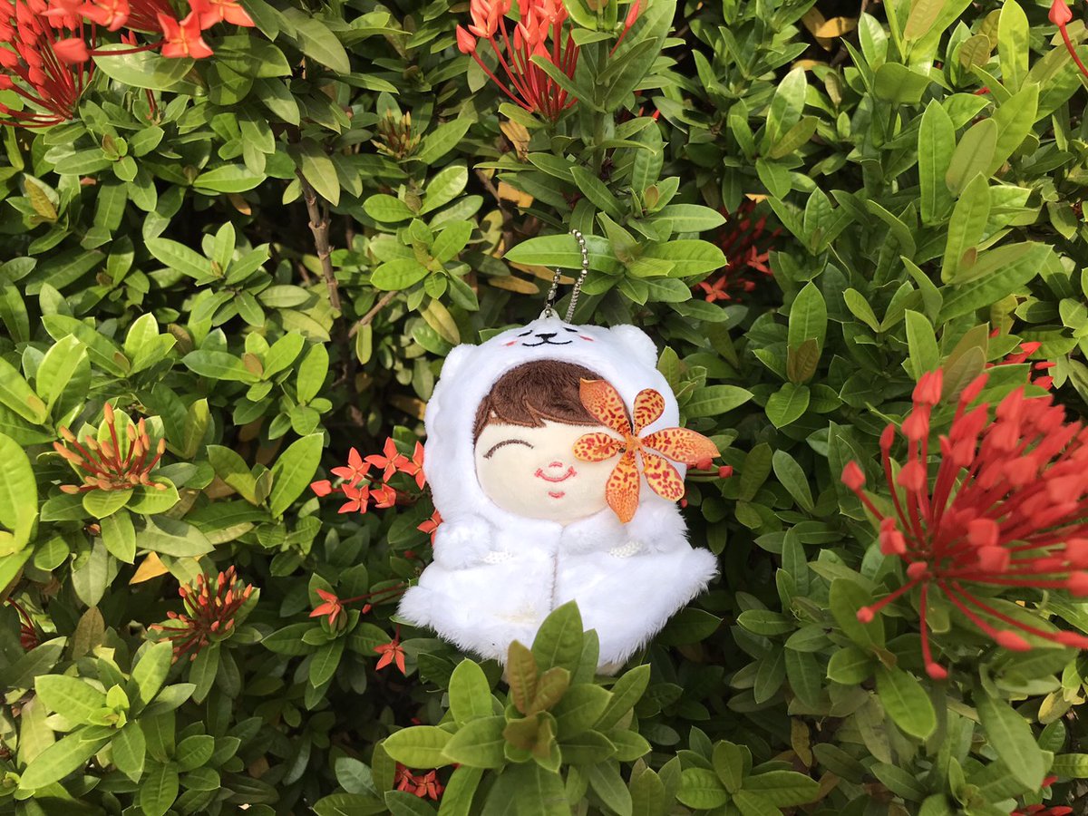 Tiny Doll tweet media