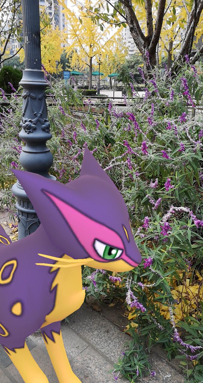 エコチン 紫と黄色 Pokemongo Gosnapshot Pokemongoar ポケモンgo ポケモンgoar写真 T Co Usx7ia5b9x Twitter