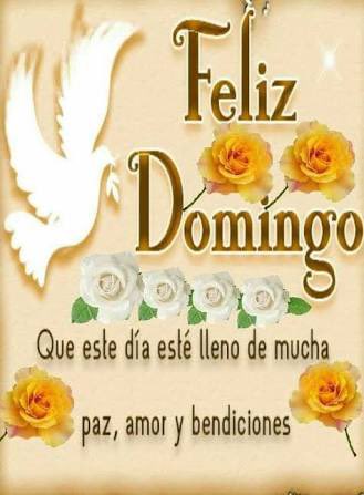 #BuenosDias #FelizDomingo