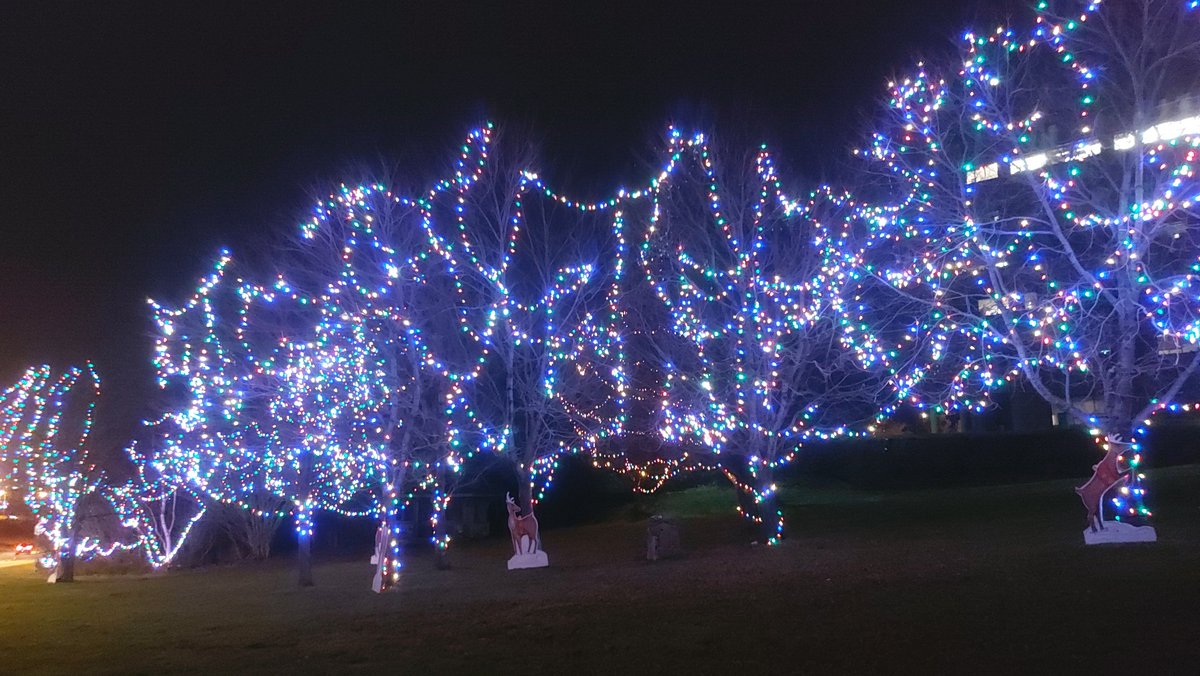 almelou's tweet photo. @StJohnsTelegram #cbcnl  #yyt #ChristmasLightsAcrossCanada #HolidaySeason @ExploreCanada @CityofStJohns  around 60000 LED lights Glimmer and sparkle @ParksCanadaNL https://t.co/u6ZrnQlTVM