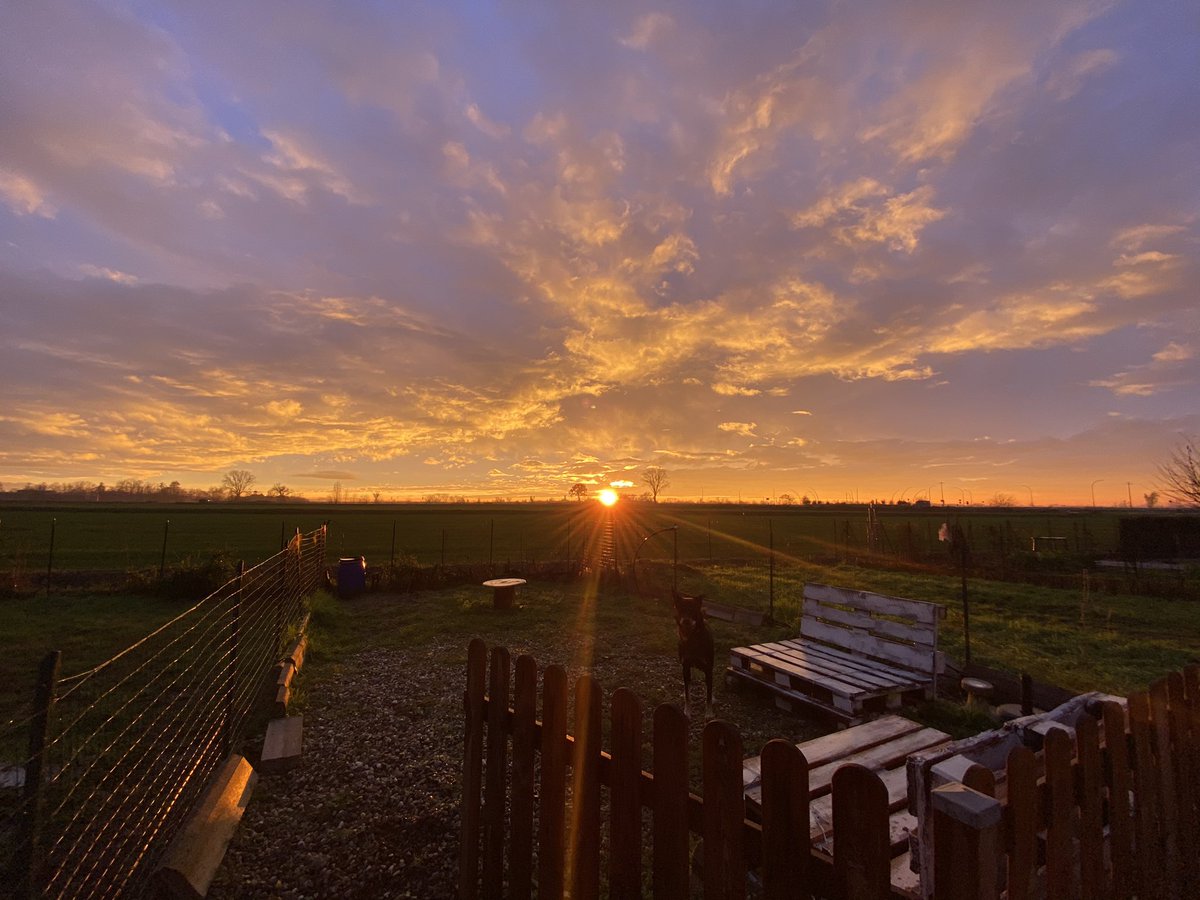 ShadesOfWhisky's tweet photo. Ma che tramonto c’è oggi? 😍 https://t.co/PpVNs6wSnX