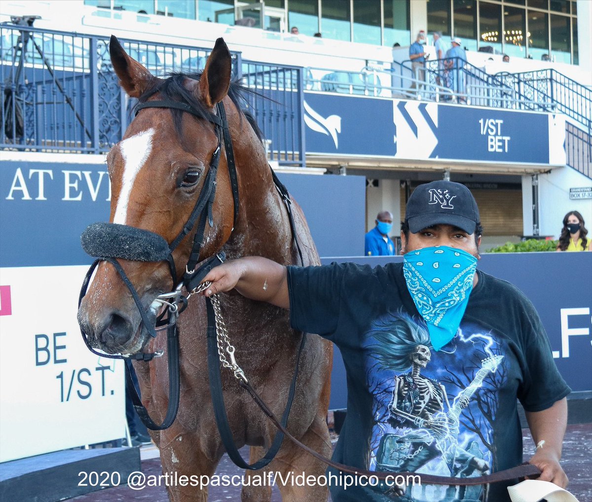 artilespascualf's tweet photo. #6Dic Mis más sinceras felicitaciones a Jesús Lander, por su 1era selectiva en los EEUU, constancia y perseverancia, claves importantes de sus más recientes resultados. Avant Garde con la excelente monta de @LeojockeyReyes #GulfstreamPark #ChampionshipMeet 
📸 @artilespascualf https://t.co/6hJ6g5NMoA