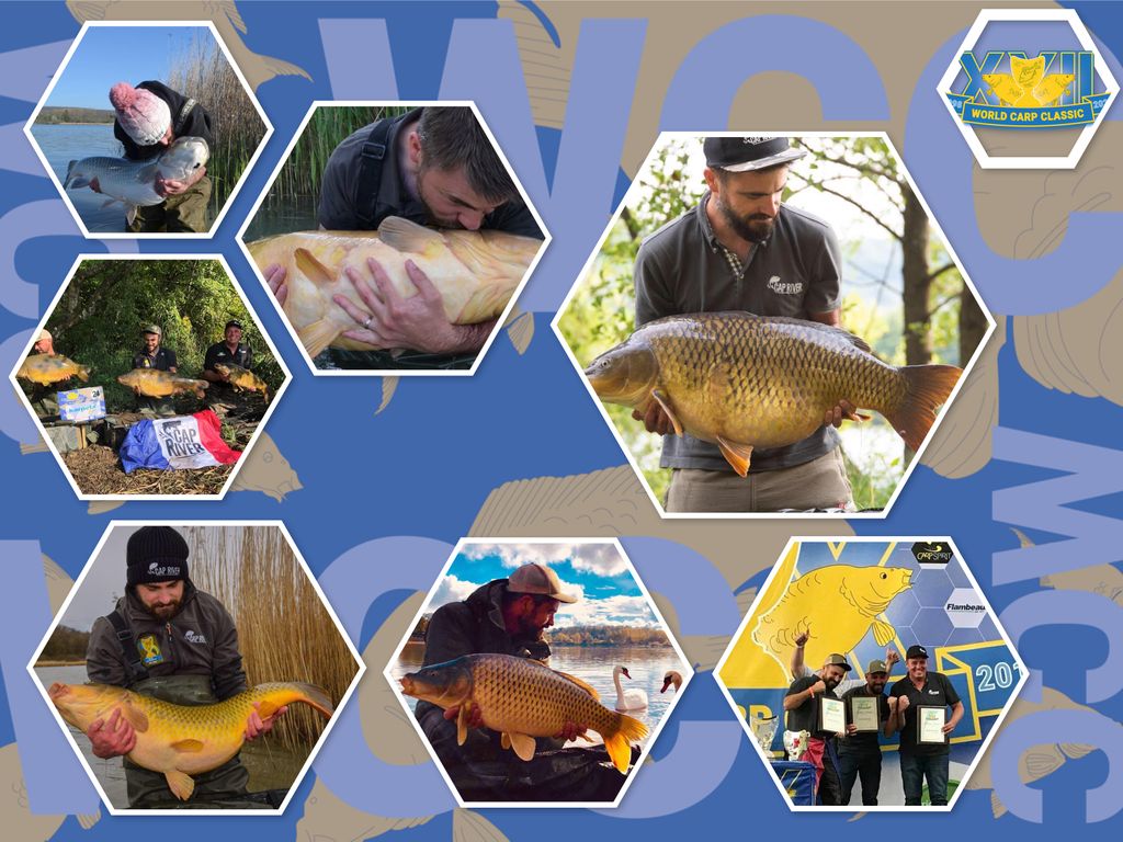 World Carp Classic tweet media