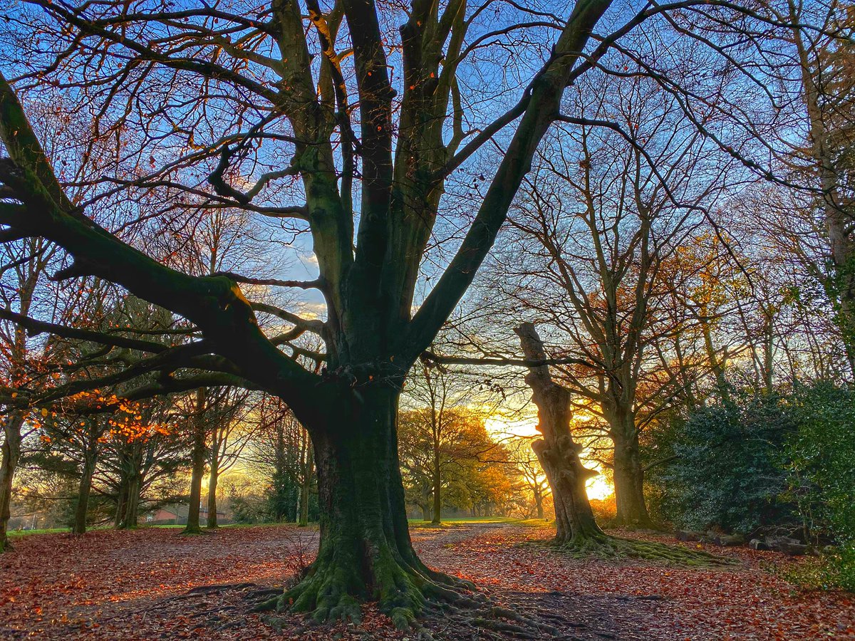 mcginnesali's tweet photo. So lucky to live next to this park #southampton #hatchgrange #landscapephotography #breakfromrevision https://t.co/kHz5y2tDyG