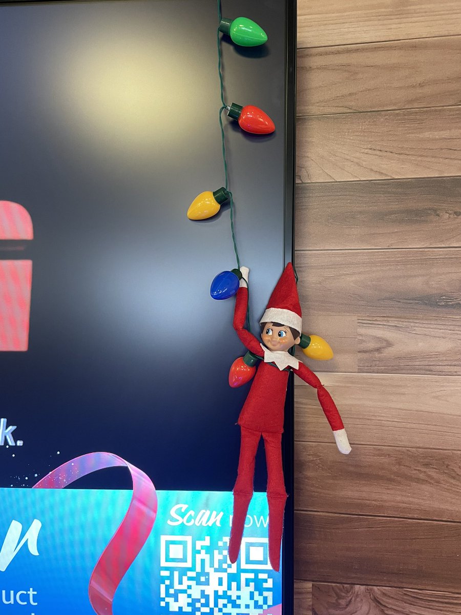 Carrie Lindsay tweet media