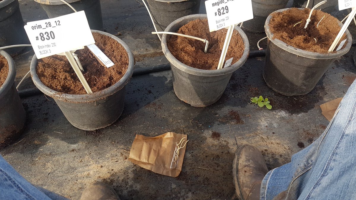 Hubner Lab tweet media