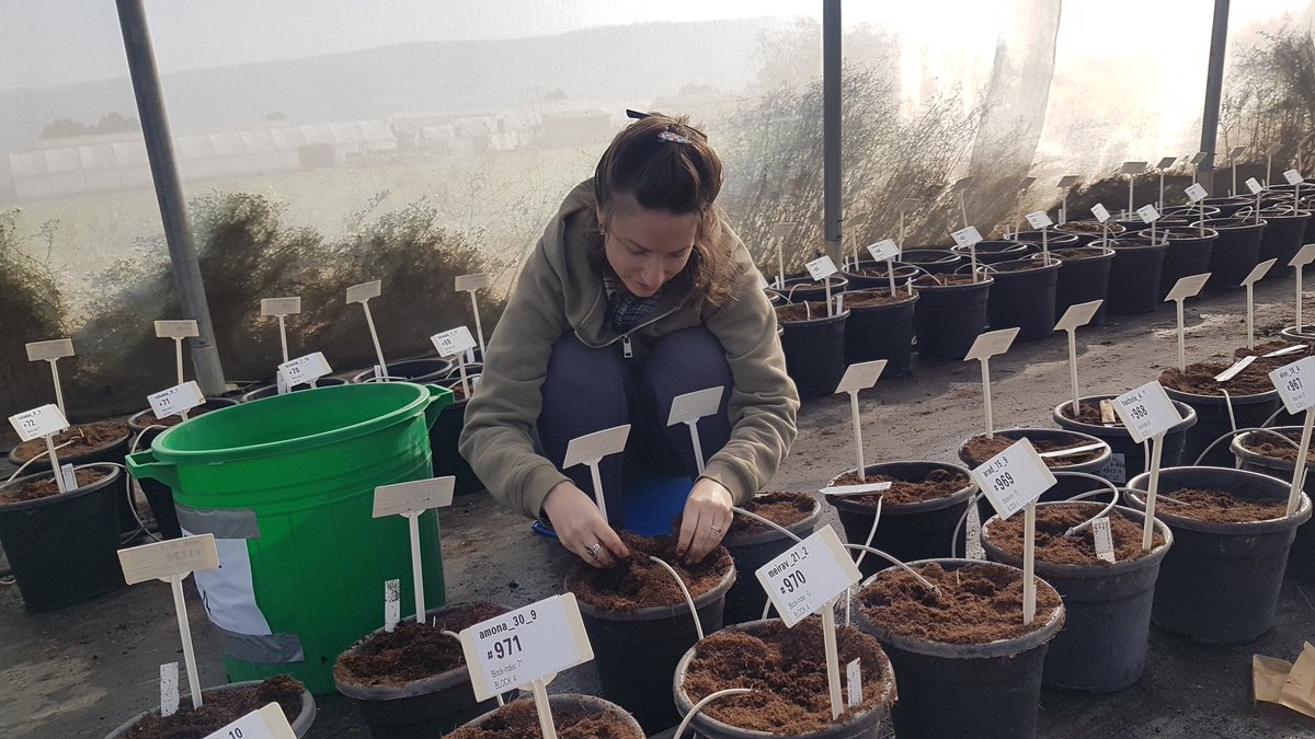 Hubner Lab tweet media