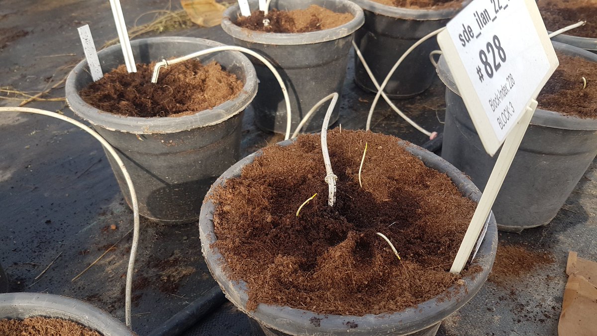 Hubner Lab tweet media