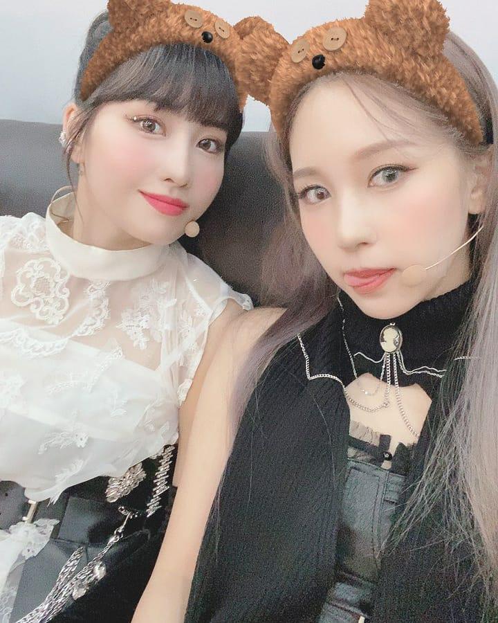alicenoob9 tweet picture