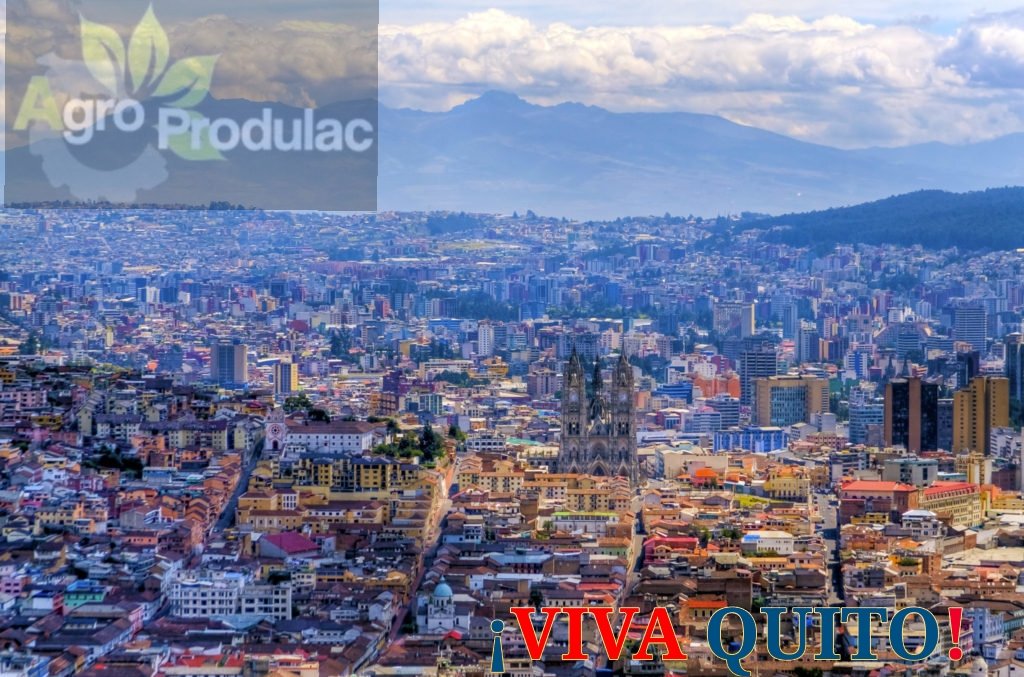 Agroprodulac. Saluda a la Carita de Dios en sus 486 años años de Fundación. Angelina Milk, muy pronto en los hogares de todos los quiteños.