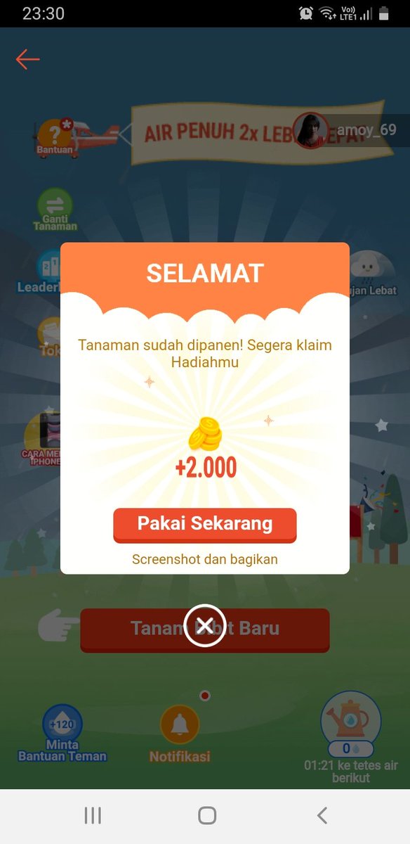 Amoy tweet media