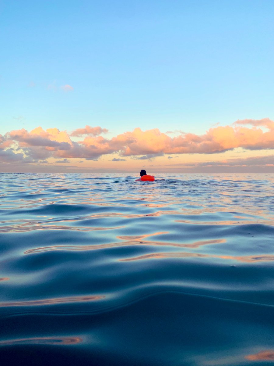 Gareth Morrison. Inactive account tweet media