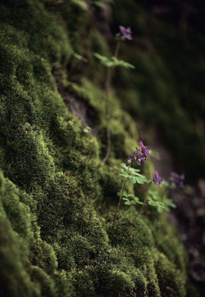 CLEANBOSS2's tweet image. MAKING PEACE WITH NATURE IN THE 21st CENTURY IS A PRIORITY
🌏
#Evolve #Progress #fossilfuel #ClimateAction #Nature #think #Patience #photography #Smart #Artistic #Art #Expression #Reflect #Pinterest  #creative #Vision #Innovation #LifeLessons #Mindset #GoGreen #Sustainability
🌏